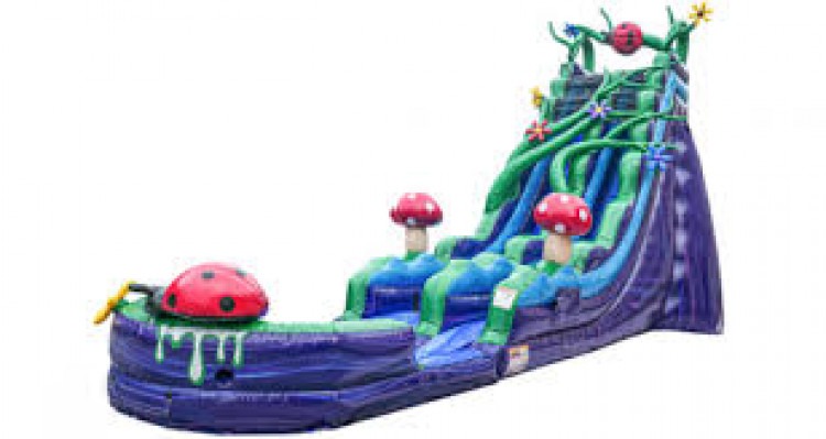 Enchanted Forrest 19ft Slide Enchanted Forrest 19ft Slide